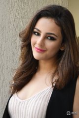 Seerat Kapoor New Photos